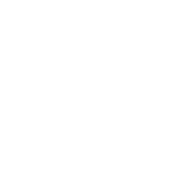 uterus