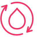 Menstrual Cycle