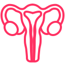 Menstrual Health