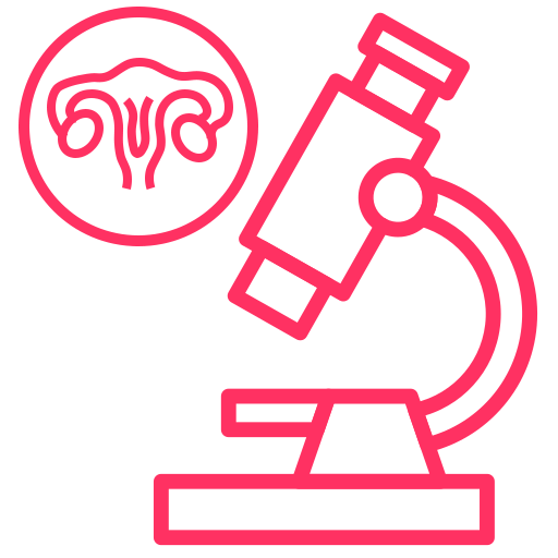 endometrial biopsy