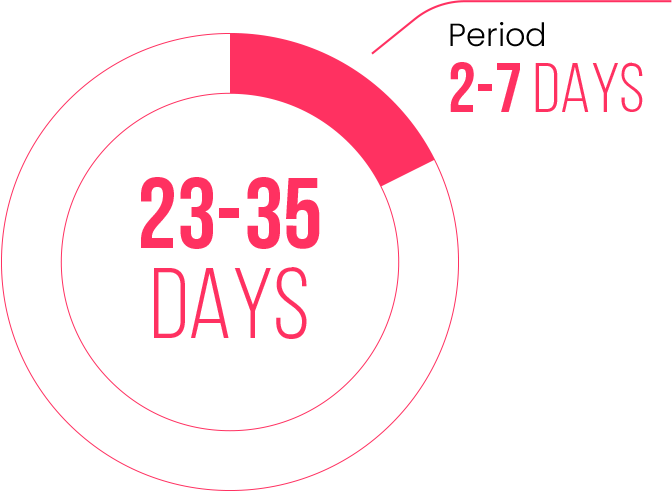 Doughnut chart showing duration of period and cycle